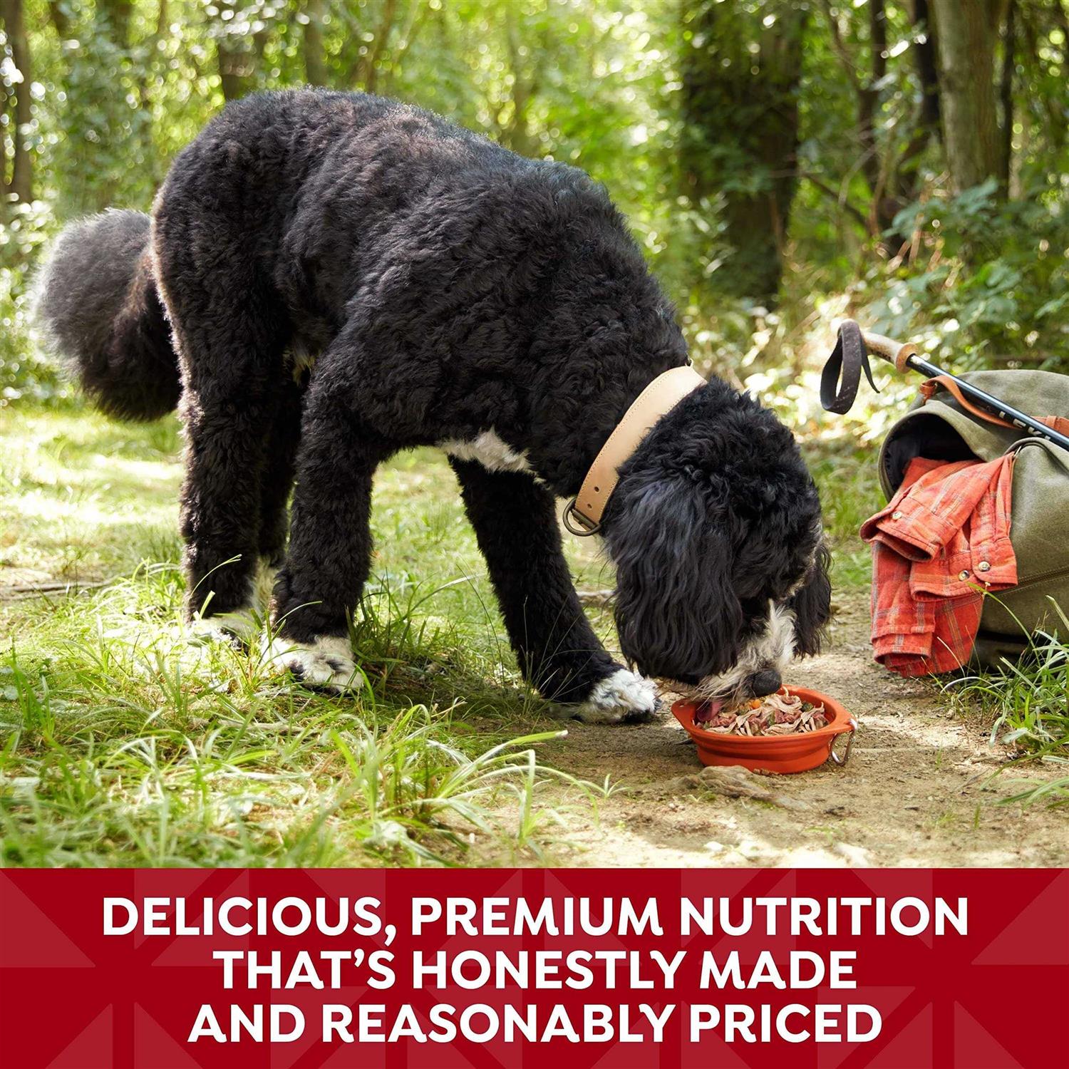 Nature’s Recipe Wet Dog Food - Healthber