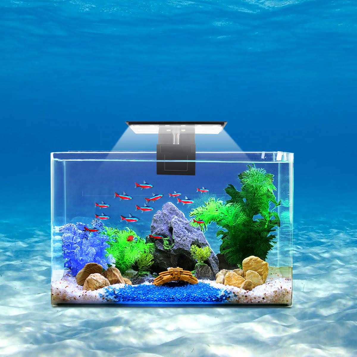 petpetssmart Aquarium Light Fish Tank Led Light 6W 12 Led Planted Clip Lamp for 8-15Inch 6mm Thick Fish Tanks - Healthber