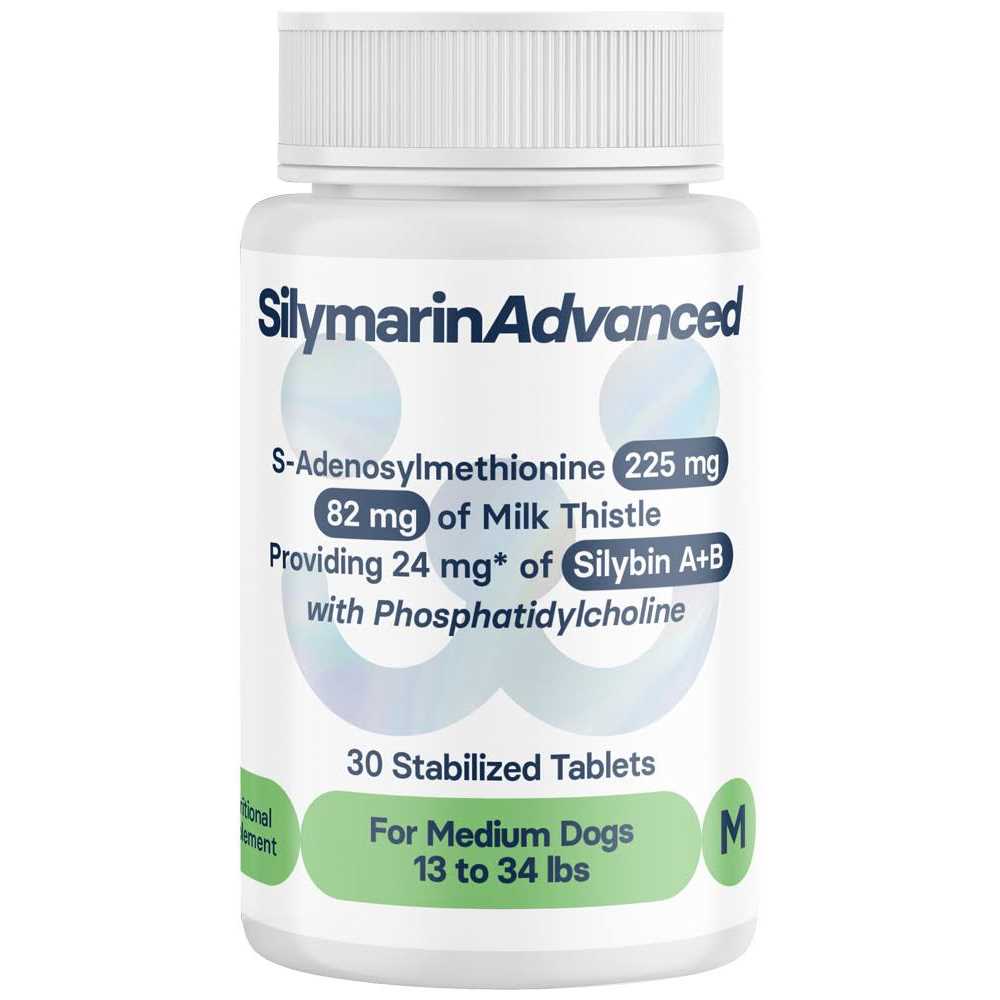 Silymarin Advanced Dogs and 30 tablets - Healthber