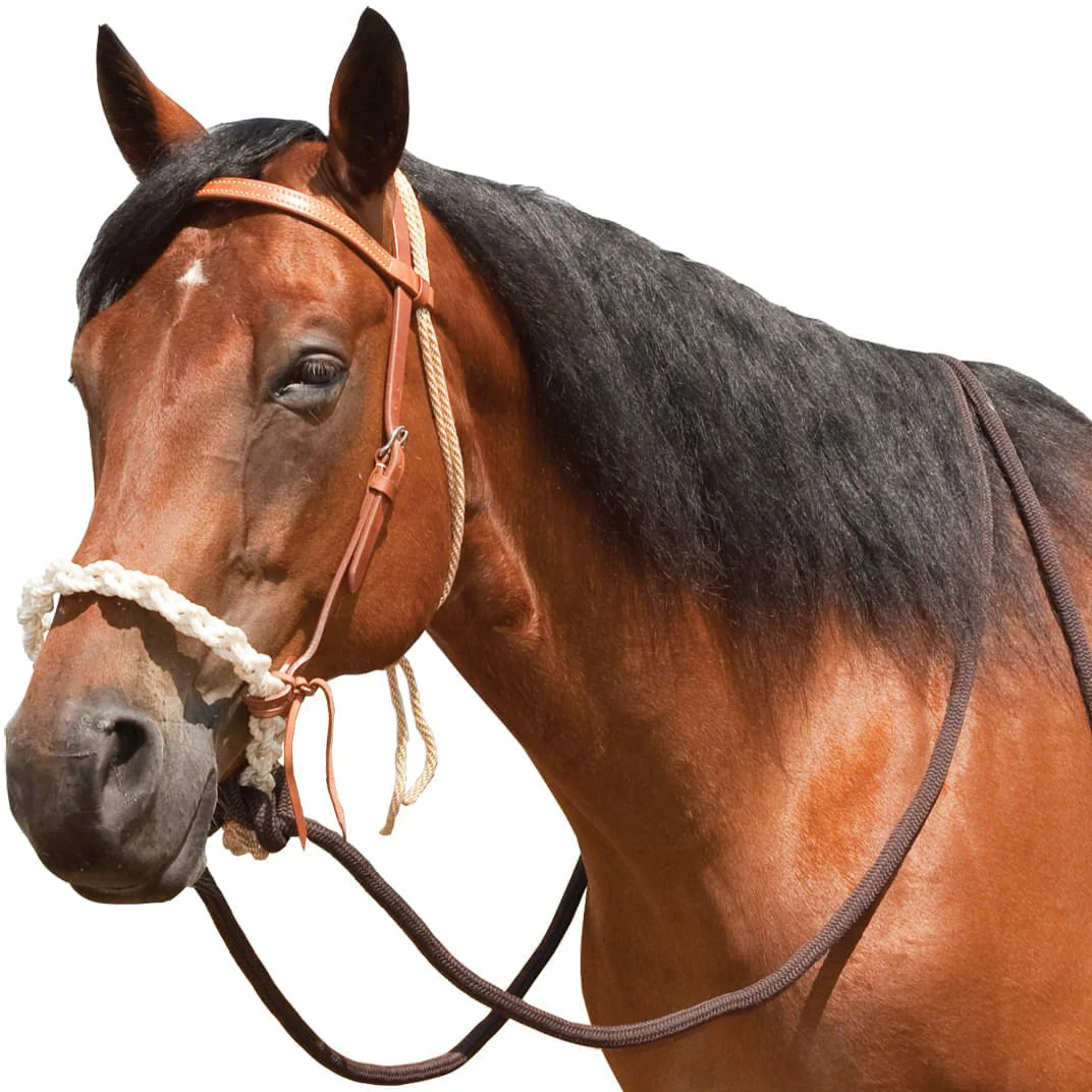 Breaking Hackamore Bridle for Horses - Healthber