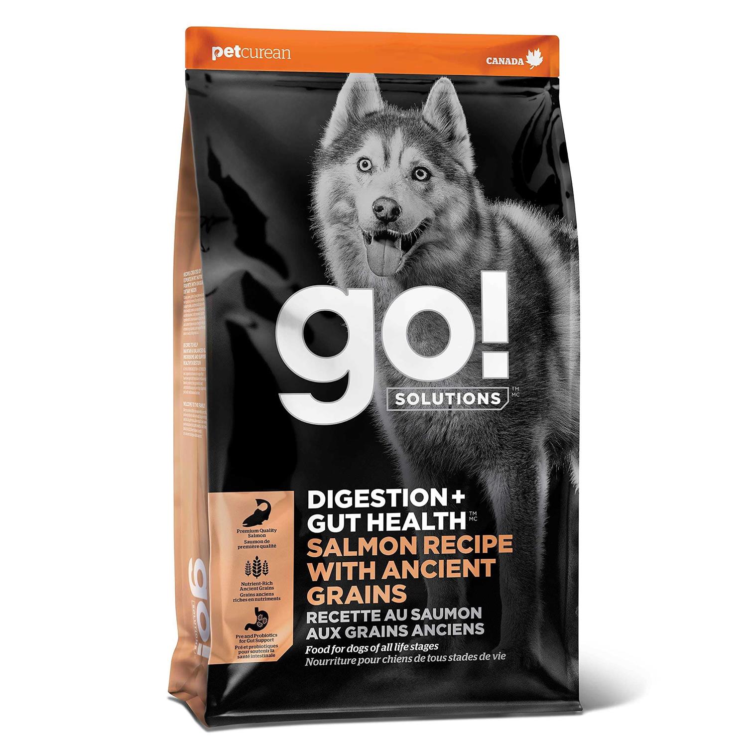 Go! Solutions Digestion Gut Health Salmon Recipe with Ancient Grains for Dogs - Healthber