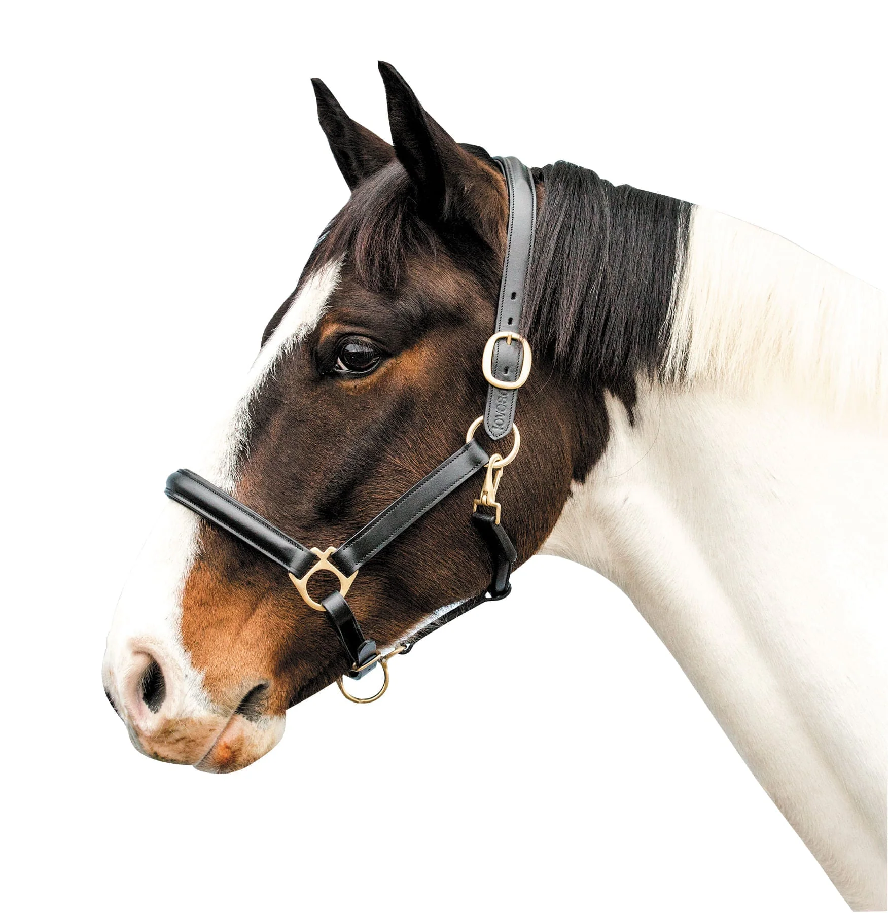 Loveson Leather Horse Halter - Healthber