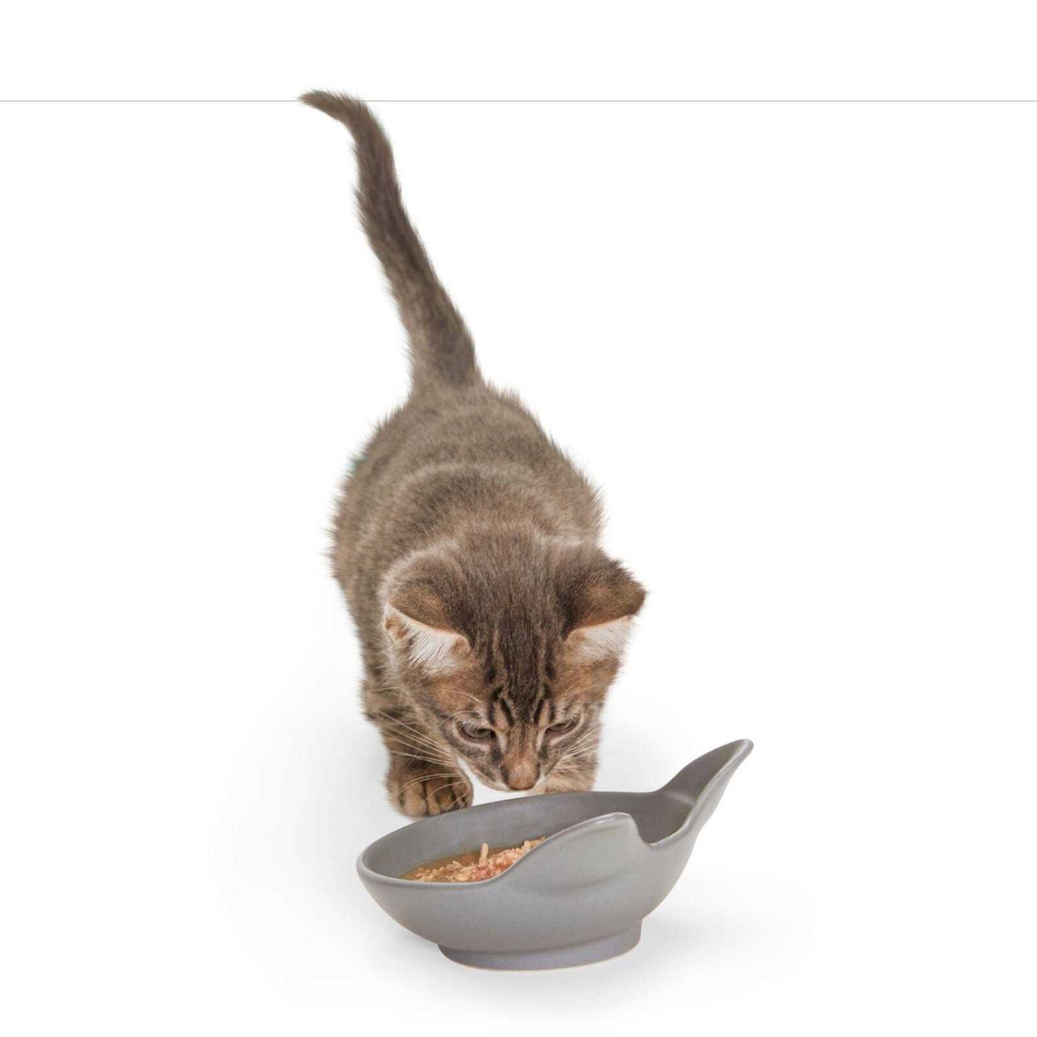 EveryYay Dining In Cat Head Ceramic Cat Bowl - Healthber