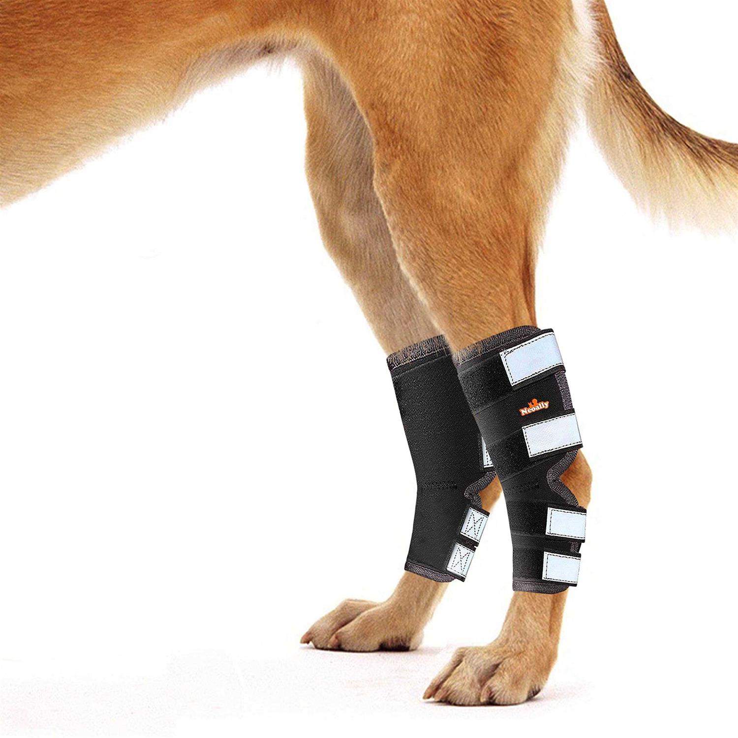 Neoally Dog Hind Leg Brace Canine Rear Leg Support with Safety Reflective Straps for Joint Injury - Healthber