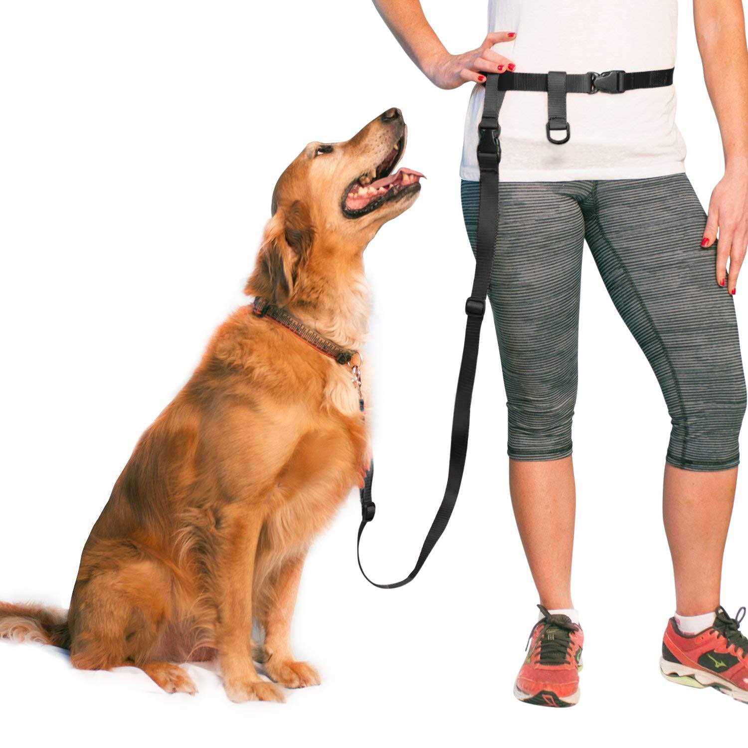 The Buddy System Adjustable Hands Free Dog Leash, Hand-Free Leash for Running, Jogging, Walking, Hiking and Training Service - Healthber
