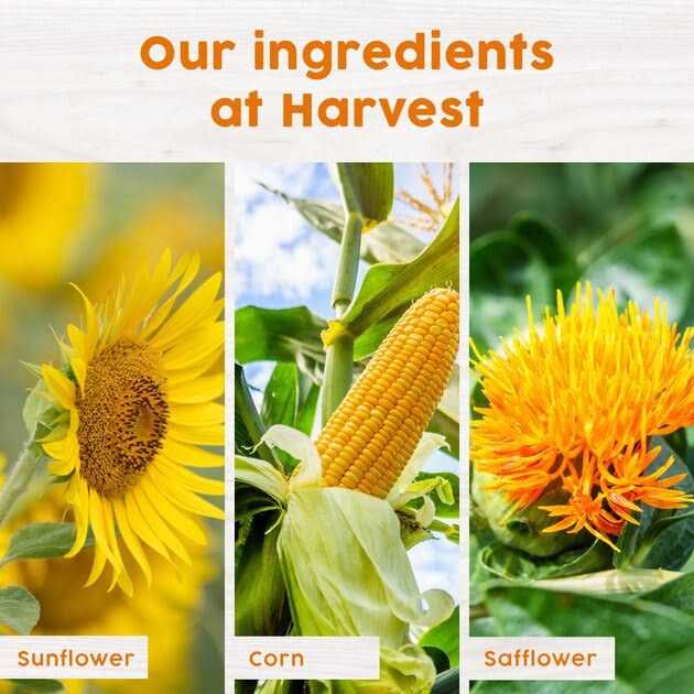 Harvest Seed & Supply Hot Pepper Snack Stack Corn Free Wild Bird Food - Healthber