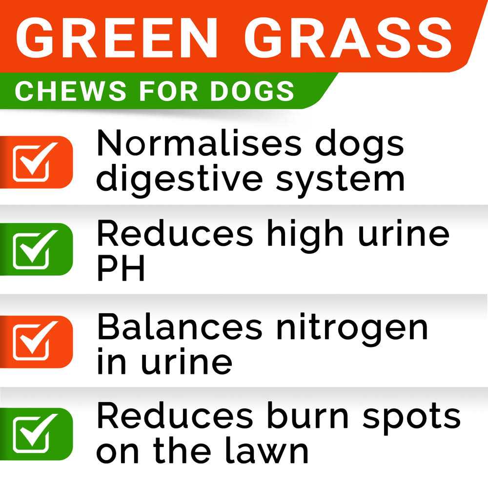 StrellaLab Grass Burn Spot Chews for Dogs - Healthber