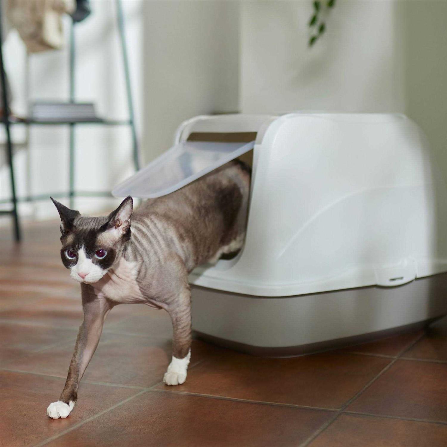 Frisco Flip Top Hooded Cat Litter Box - Healthber