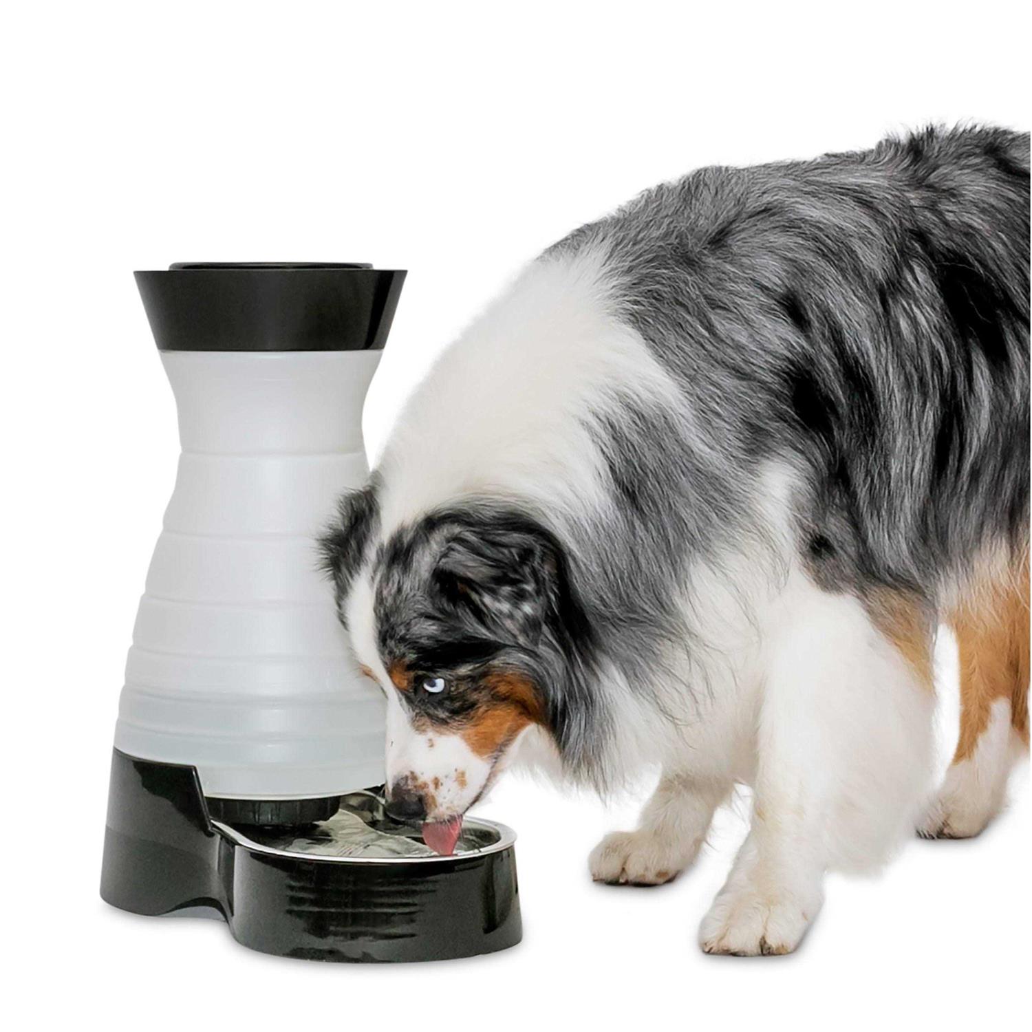 PetSafe Healthy Pet Water Station - Healthber
