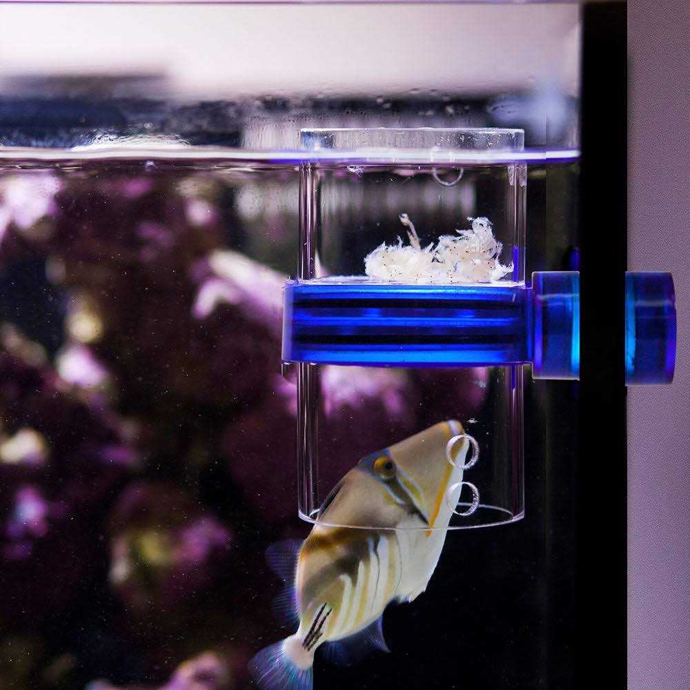 Innovative Marine Gourmet Defroster Pro Magnetic Frozen Food Feeder - Healthber