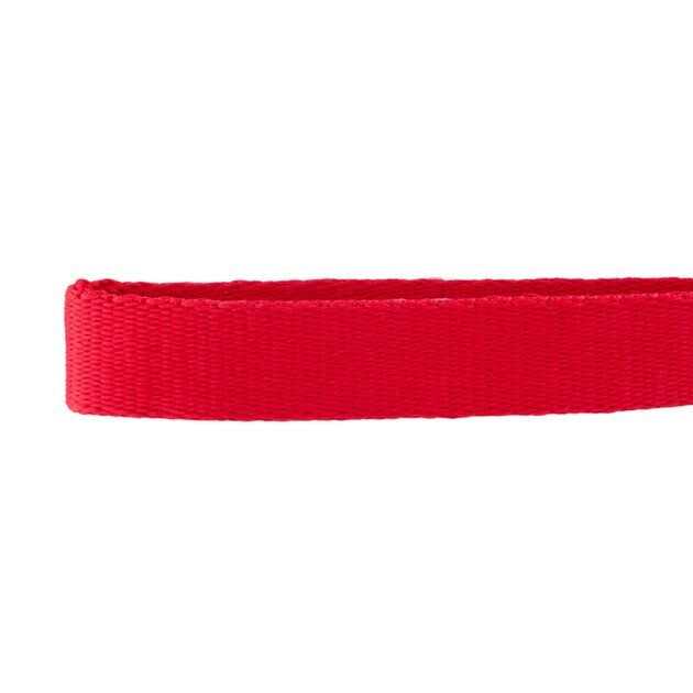 GoTags Nylon Personalized Dog Collar - Healthber