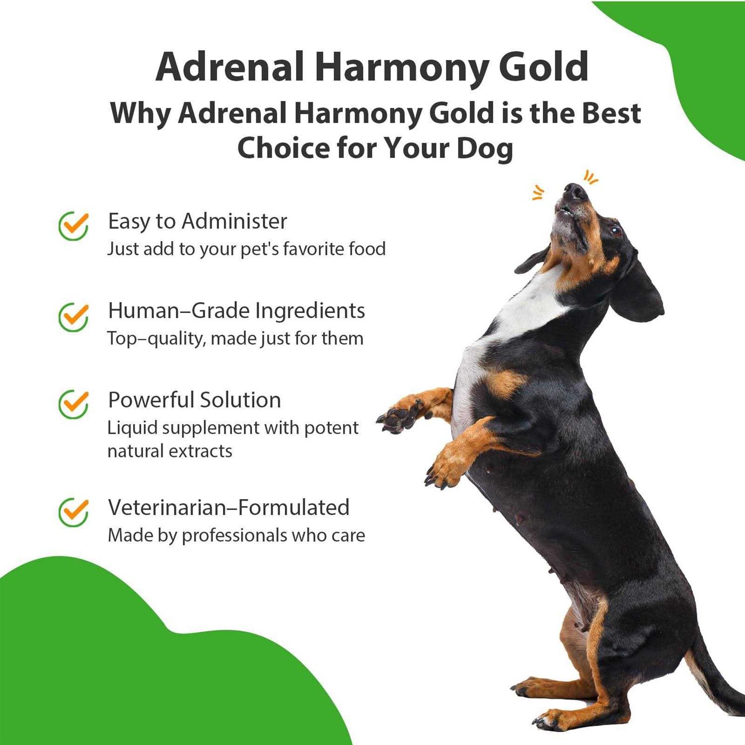 Pet Wellbeing Adrenal Harmony Gold for Dog Cushing’s - Healthber