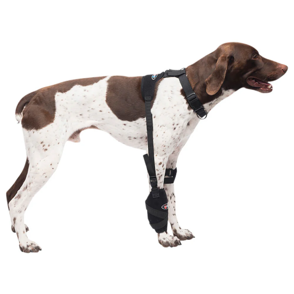 Caldera Pet Universal Therapy Carpal/Elbow Wrap with Therapy Gel - Healthber
