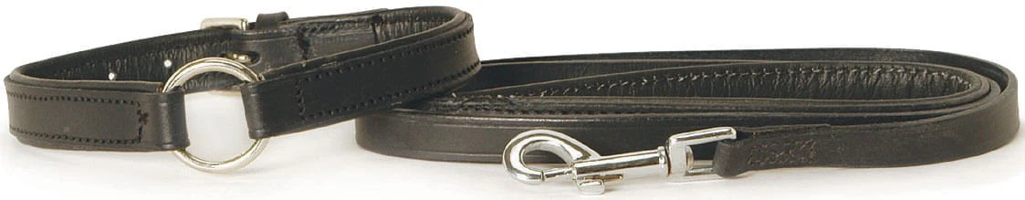 Padded Black Leather Dog Collars - Healthber