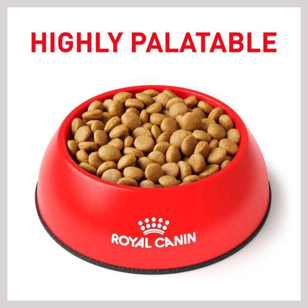 Royal Canin Veterinary Diet Canine Selected Protein Adult Dry Dog Food - Healthber
