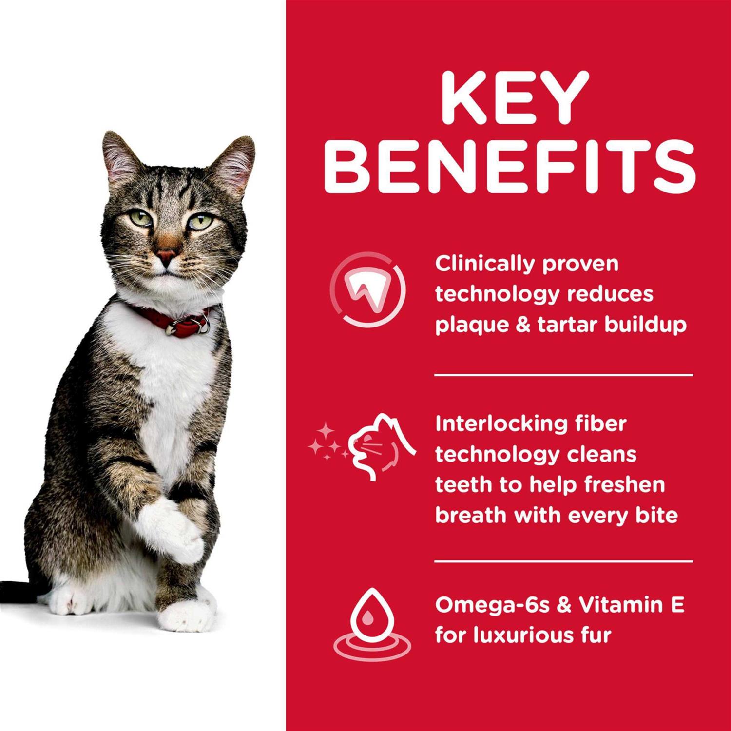 Science Diet Oral Care Adult Dry Cat Food - Healthber