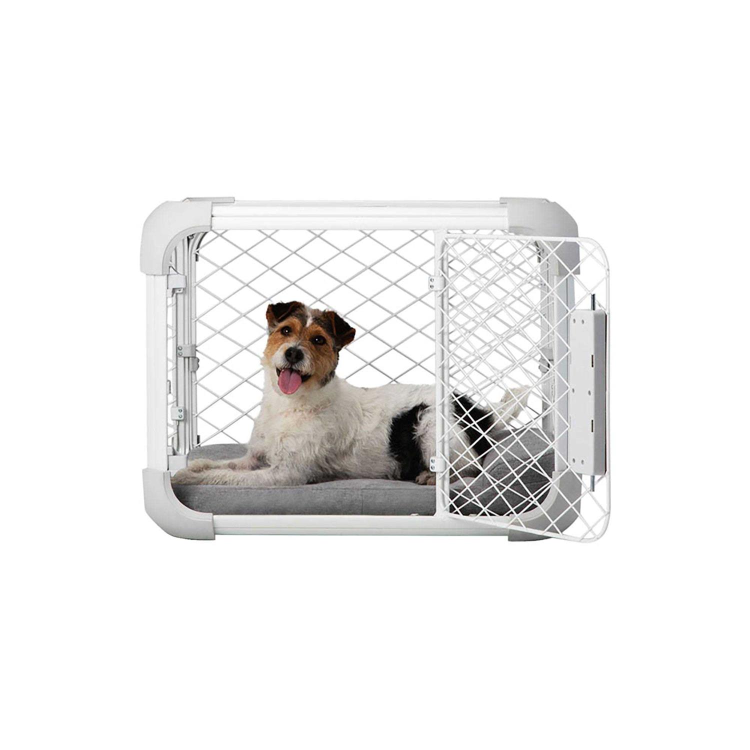 Diggs Evolv Dog Crate - Healthber