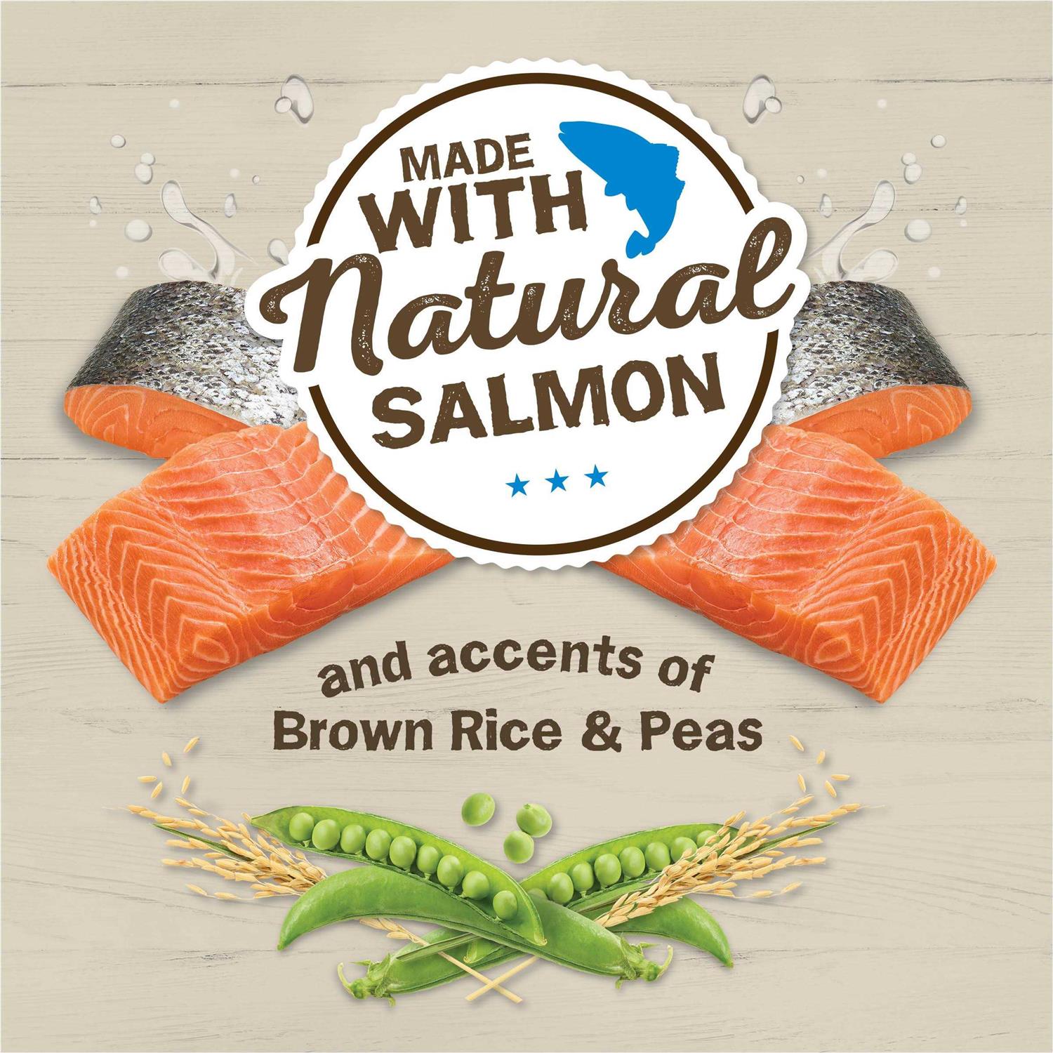 Friskies Ocean Favorites Dry Cat Food With Natural Salmon - Healthber