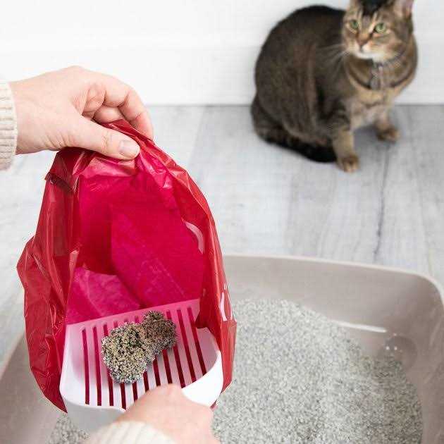 Ubbi Pet Waste Sacks, Lavender Scented Cat Litter Disposal Bags, Leak Proof and Easy Tie - Healthber