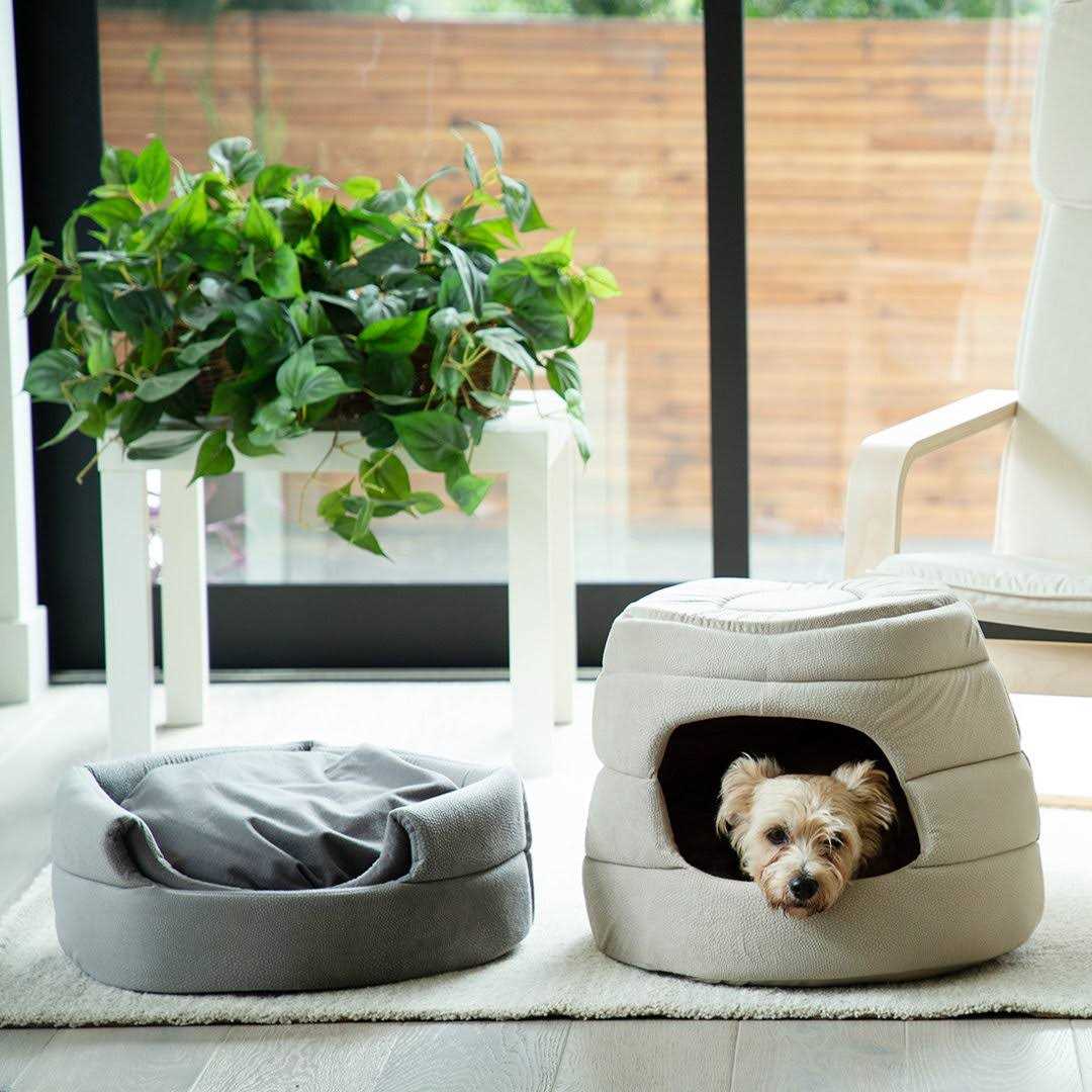 Best Friends by Sheri 2-in-1 Honeycomb Hut-Cuddler - Healthber