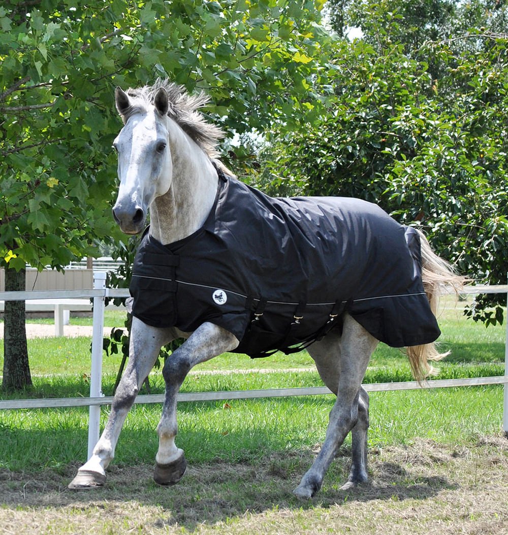 1680D Supreme Plus Medium Weight Turnout Blanket - Healthber