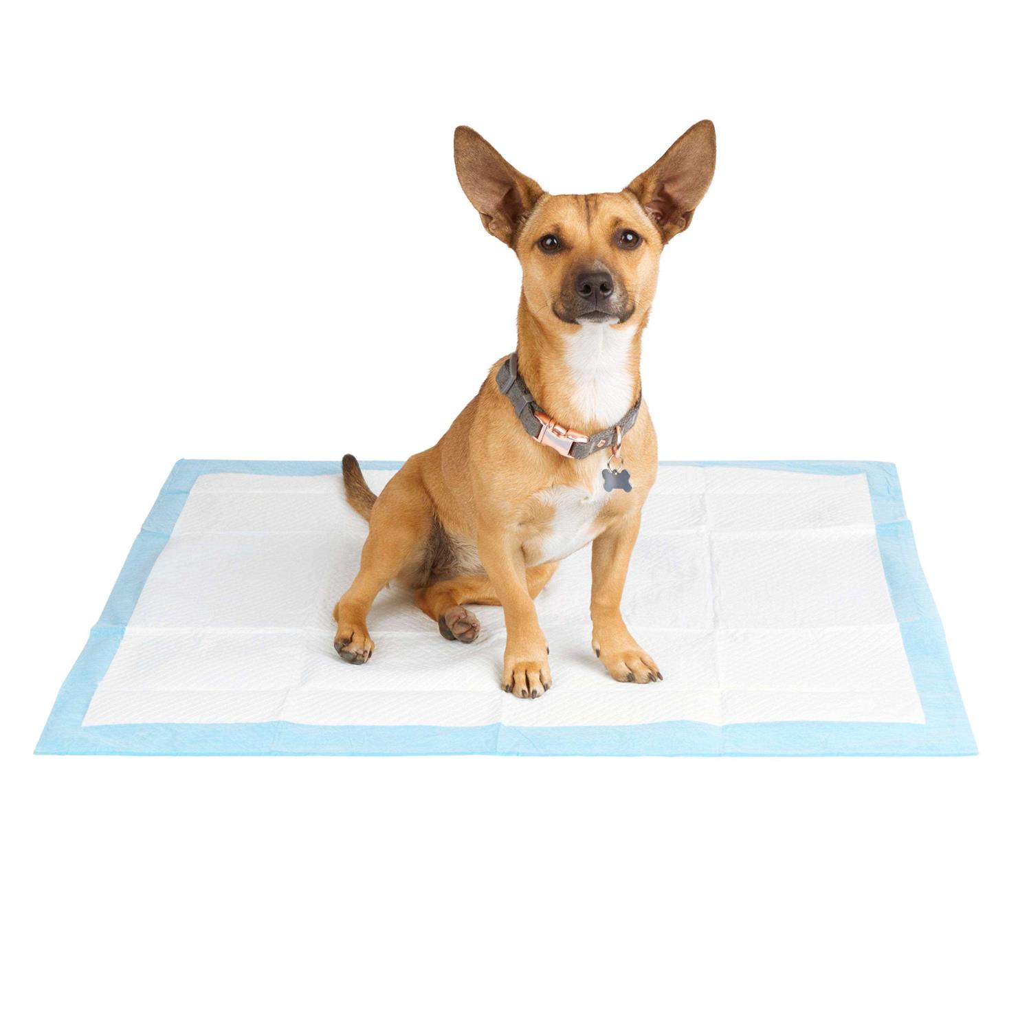 So Phresh Large Leak Guard Quilted Potty Pads - Healthber
