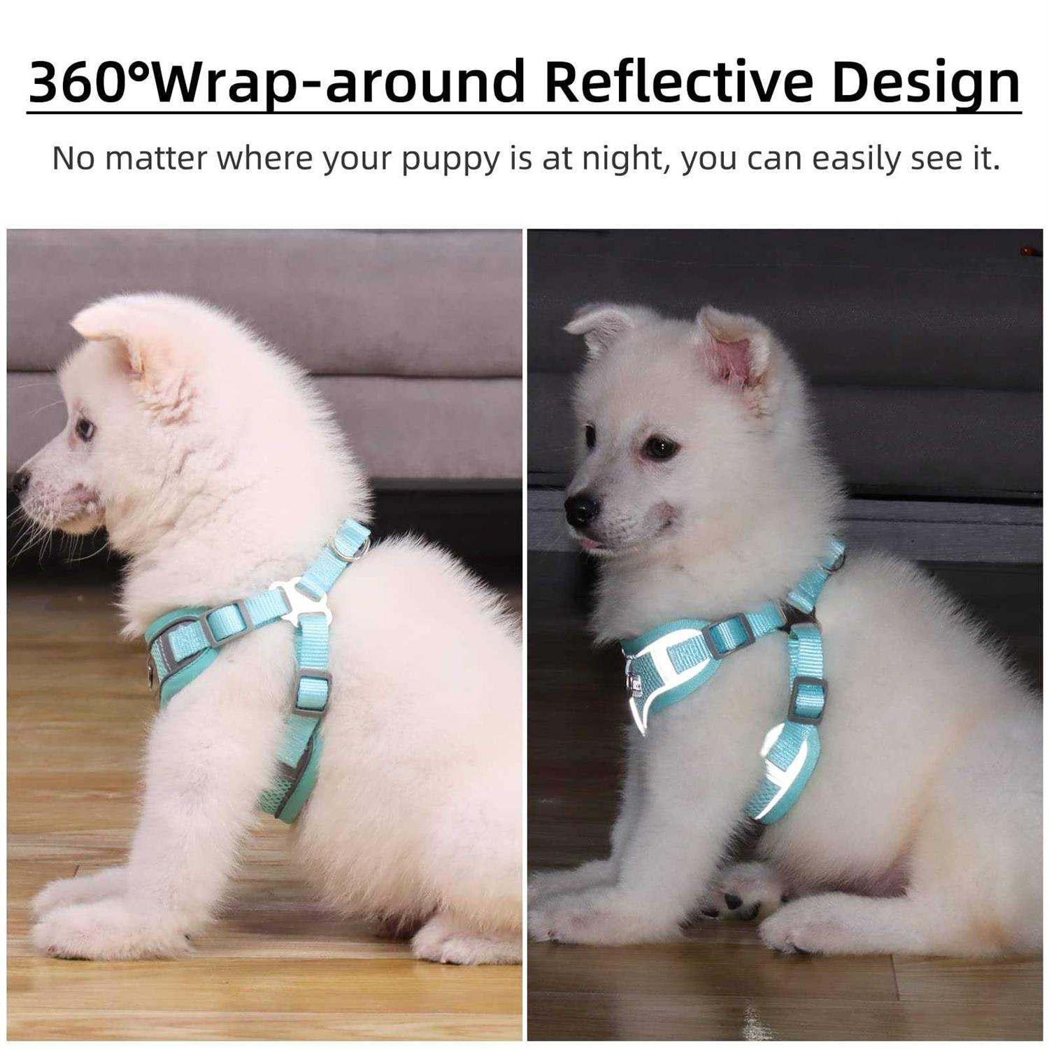 rennaio Dog Harness No Pull, Adjustable Puppy Harness with 2 Leash Clips, Ultra Padded Dog Vest Harness, Reflective Dog Harness and Leash - Healthber