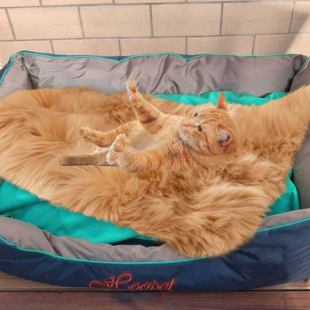 Asrug Soft Faux Fur Pet Bed Mat Plush and Fluffy Pet Pad Ultra Cozy Pet Throw Rug for Dogs Cats - Healthber