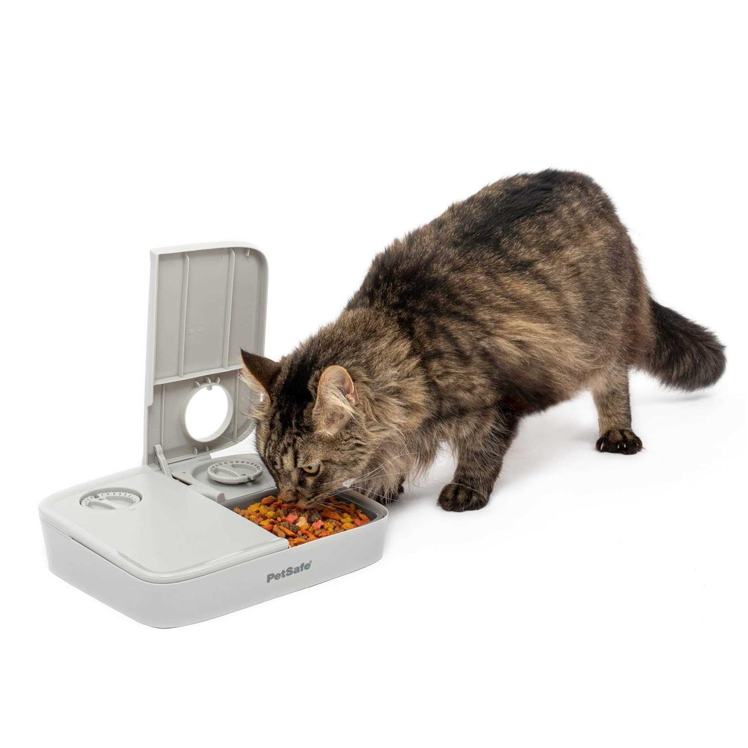 PetSafe Automatic 2 Meal Pet Feeder - Healthber
