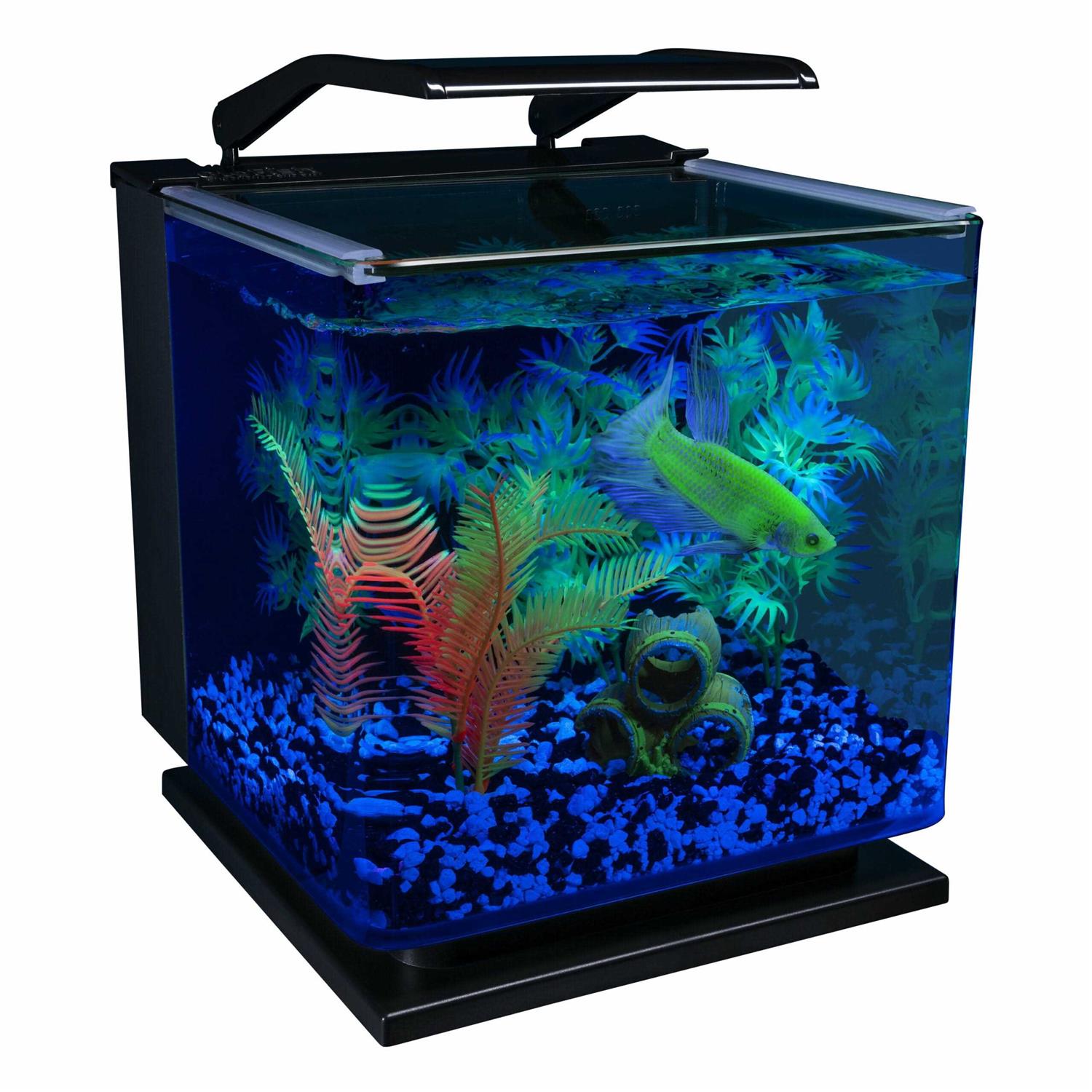 Glofish Betta Aquarium Kit 3 Gallons, Includes LED Lighting and Filter - Healthber
