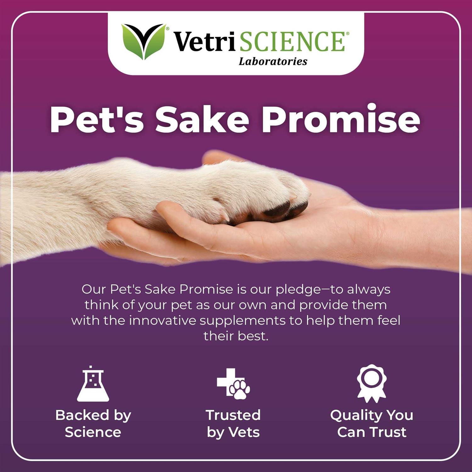 VetriScience Omega Plus Advanced Skin Duck Flavor Supplement for Dogs - Healthber