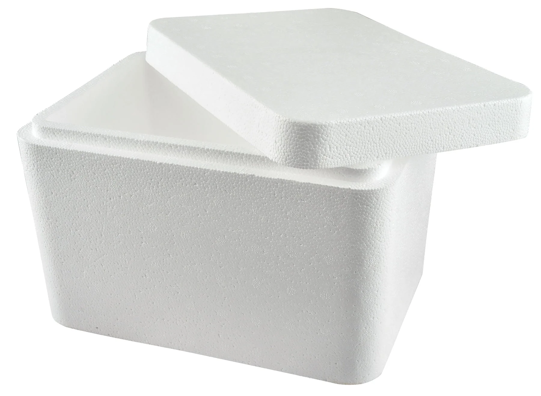 Foam Cooler for Vaccines - Healthber