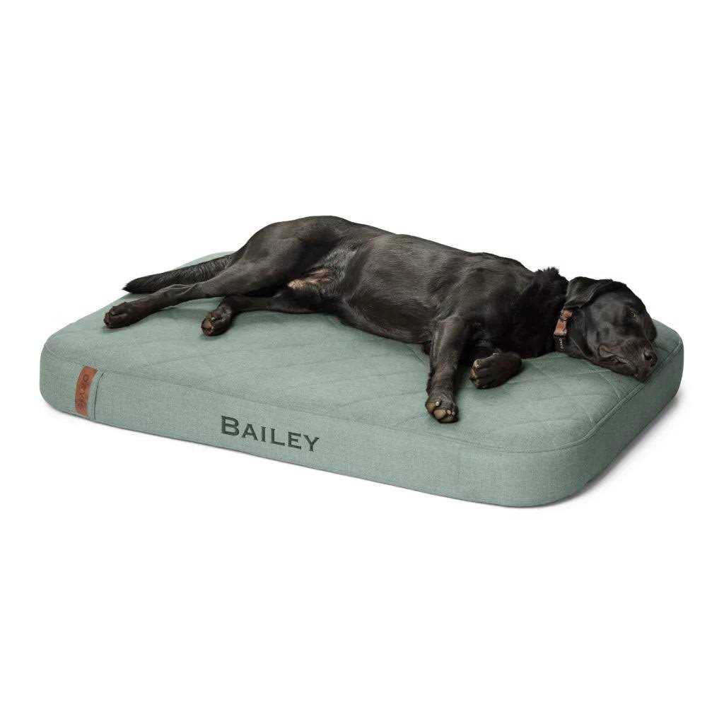 Orvis RecoveryZone Lounger Dog Bed - Healthber