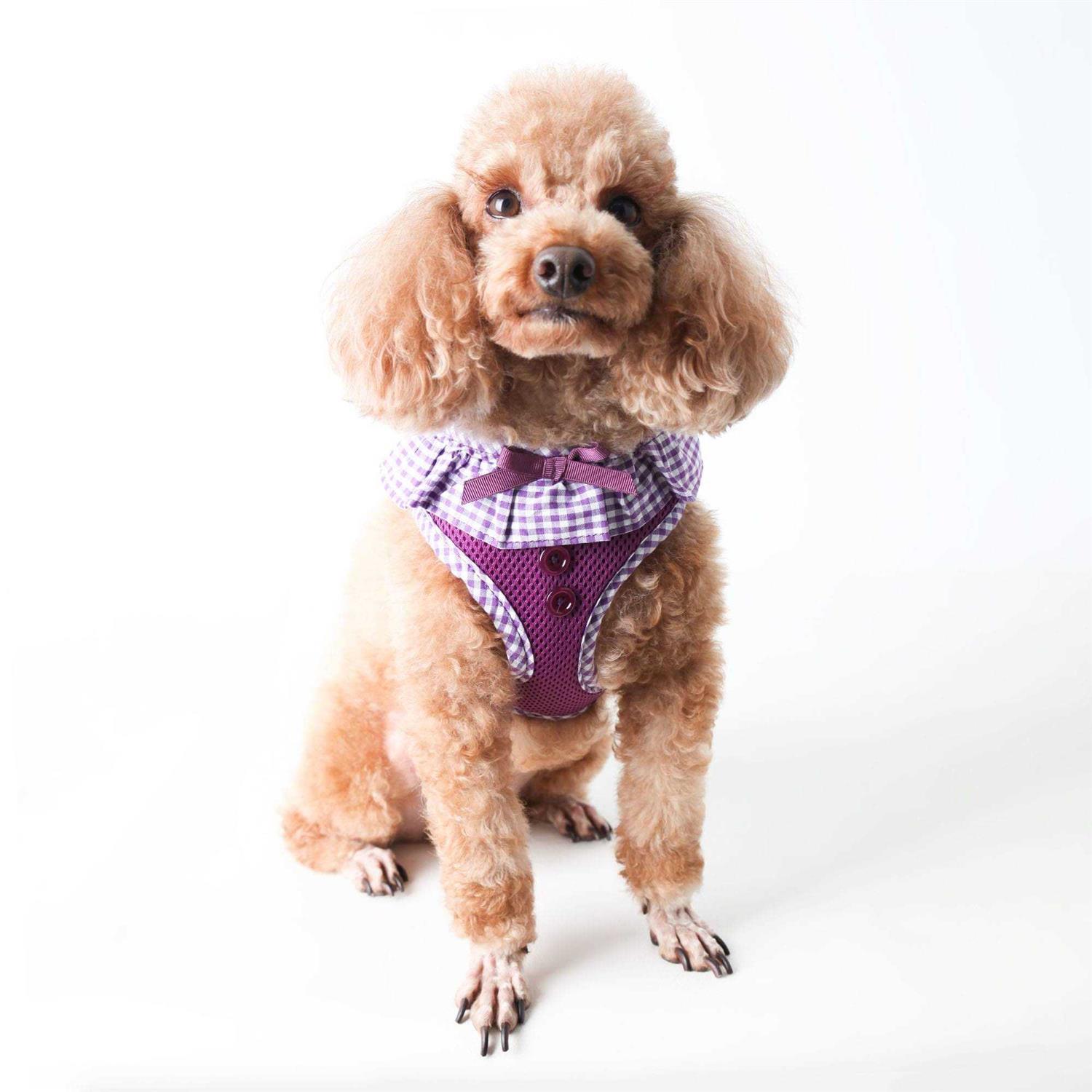 Puppia Harness Vivien - Healthber
