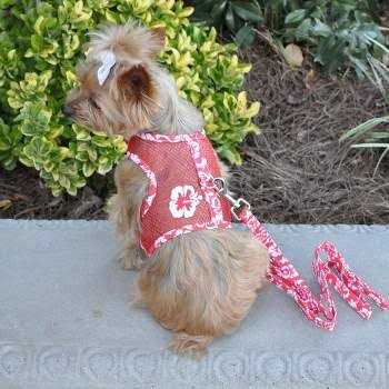 Doggie Design Cool Mesh Dog Harness with Leash - Healthber