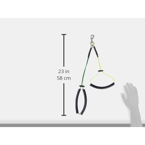 Downtown Pet Supply No Sit Grooming Loop Restraint for Dog Grooming - Healthber