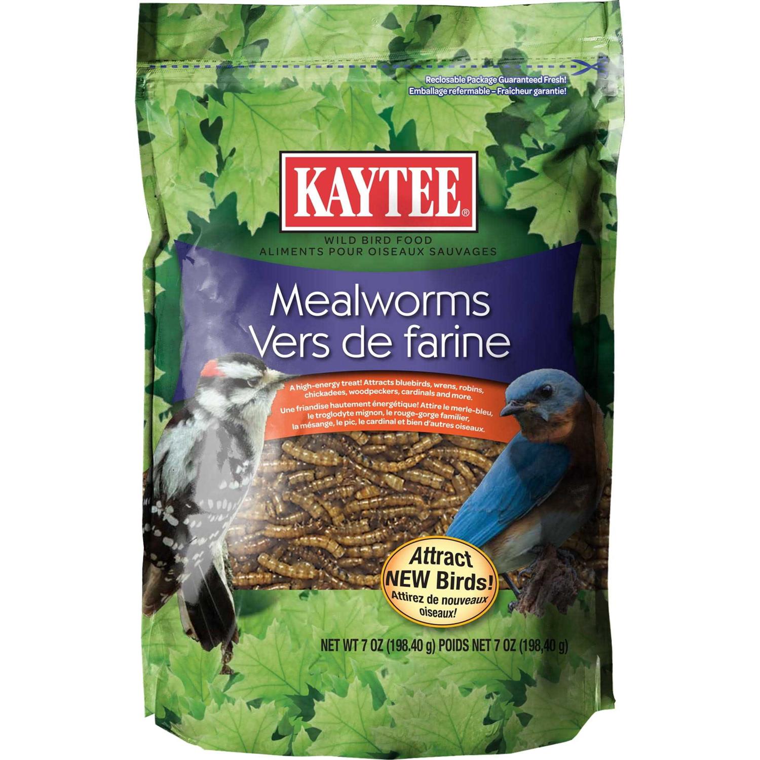 Kaytee Mealworms Bird Food - Healthber