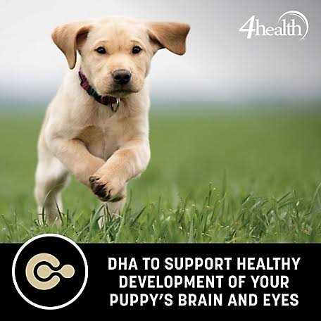 4health Grain Free Puppy Dog Food - Healthber