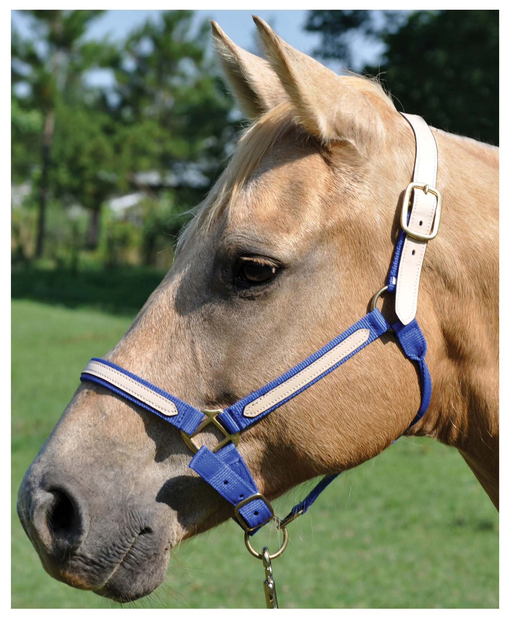 Tough1 Leather Overlay Breakaway Horse Nylon Halter - Healthber