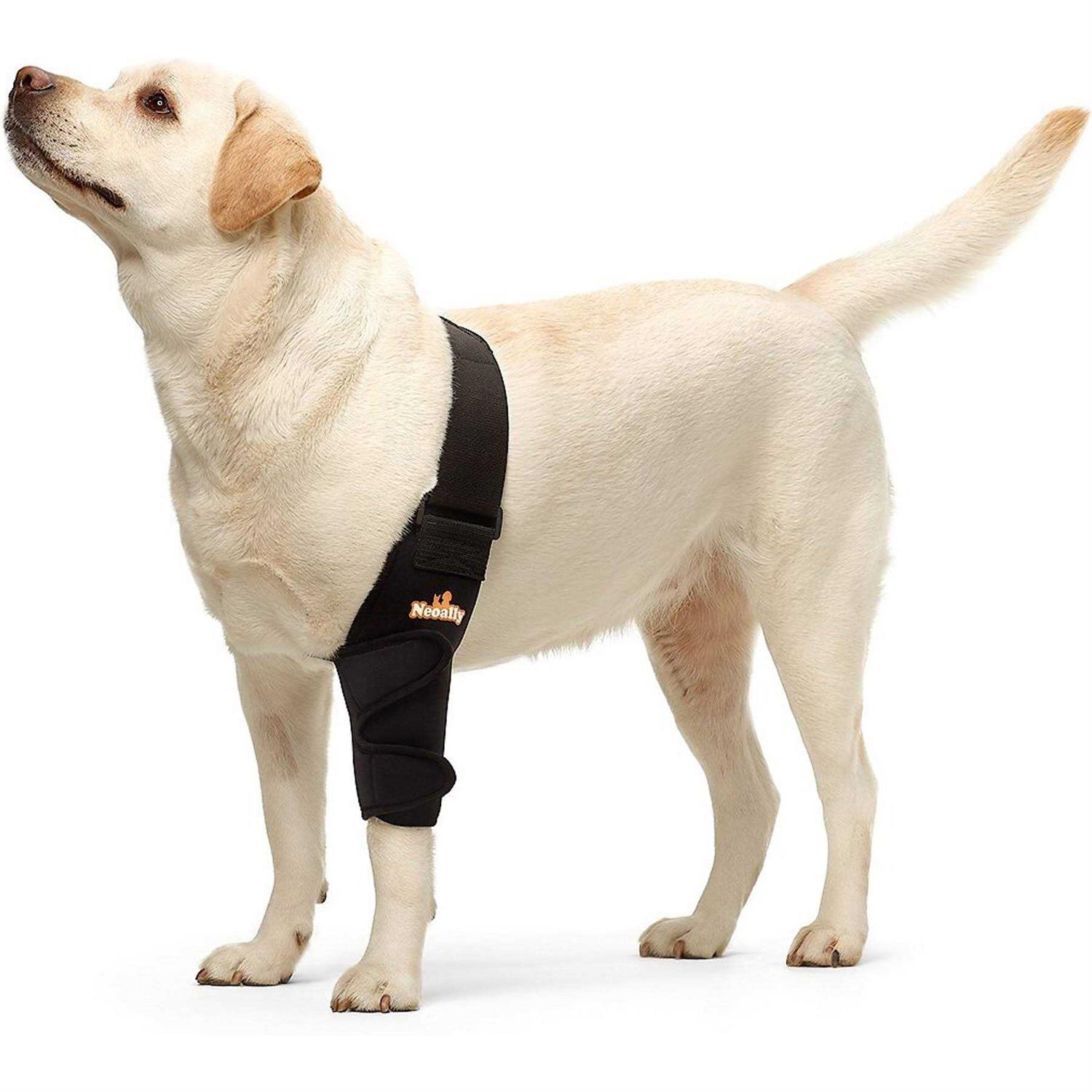 NeoAlly Dog Elbow Brace Protector Pads for Canine Elbow and Shoulder Support Elbow Hygroma - Healthber