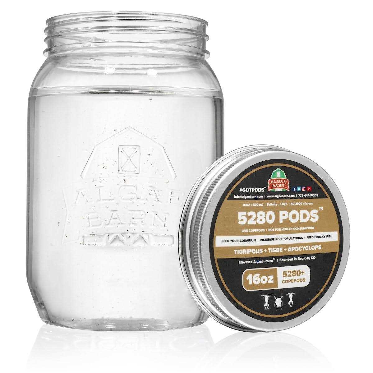 AlgaeBarn 5280 Pods : Live Copepods : Three Pod Species Tisbe + Tigriopus + Apocyclops - Healthber