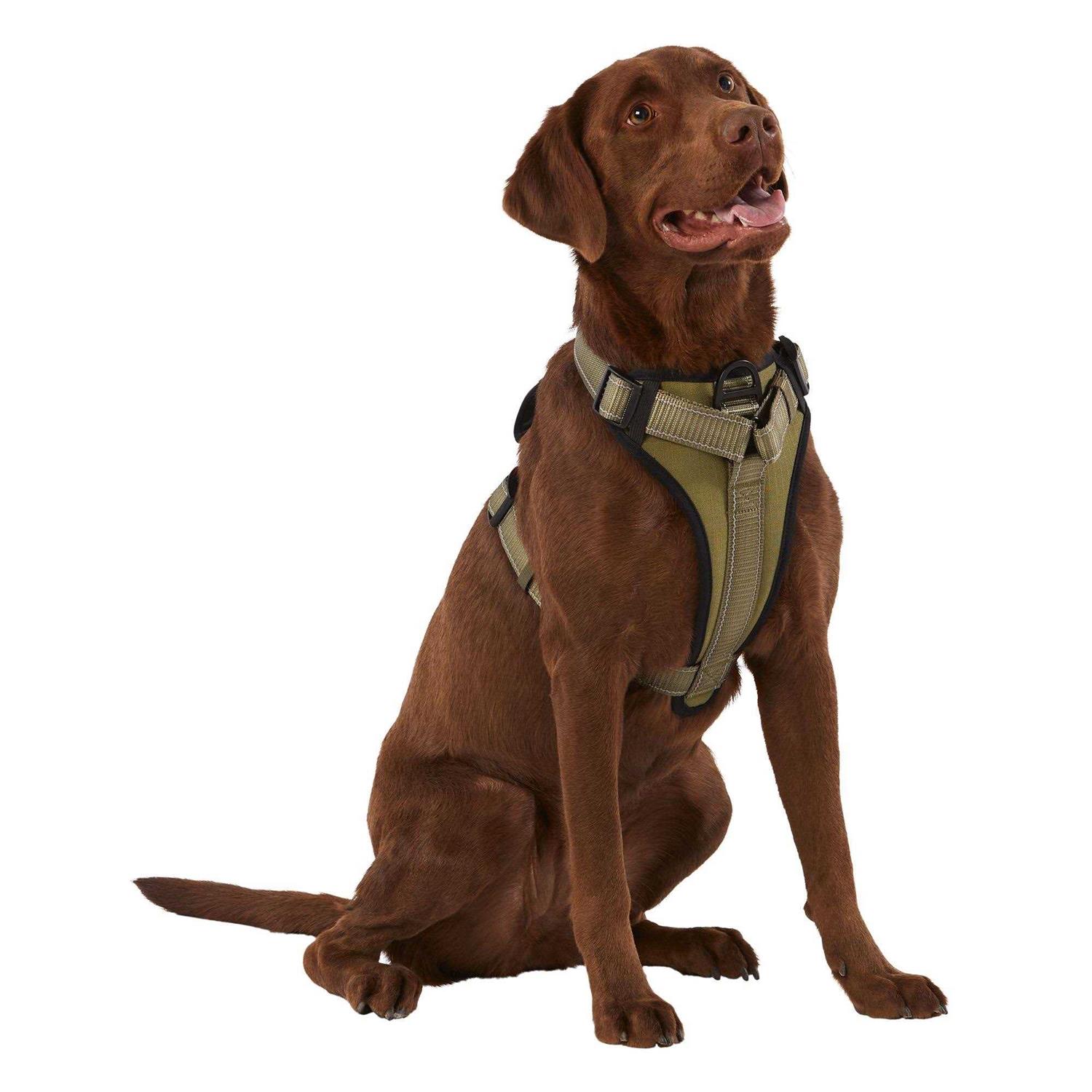 KONG MAX Neoprene Padded Dog Harness - Healthber