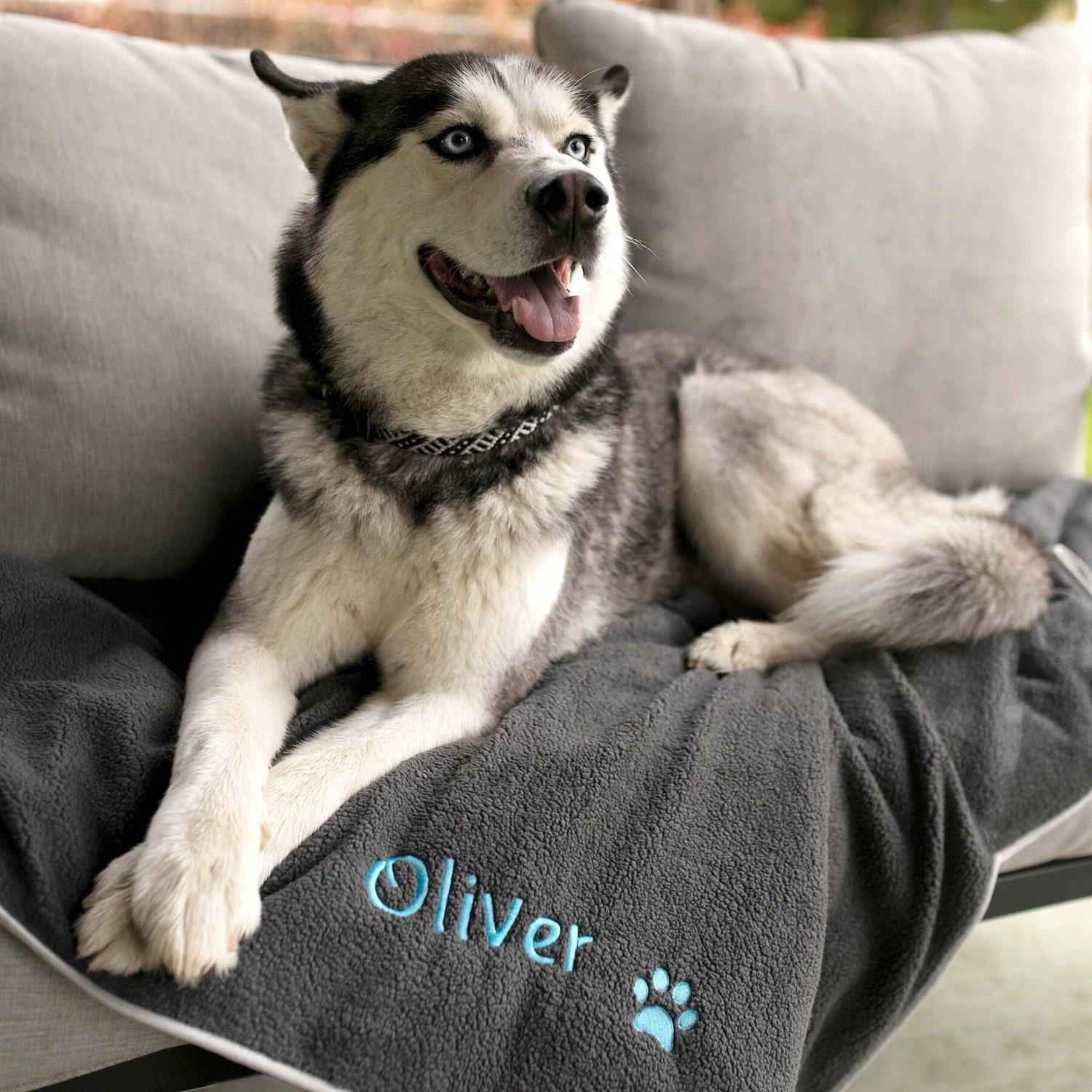 GoTags Personalized Dog Blanket - Healthber