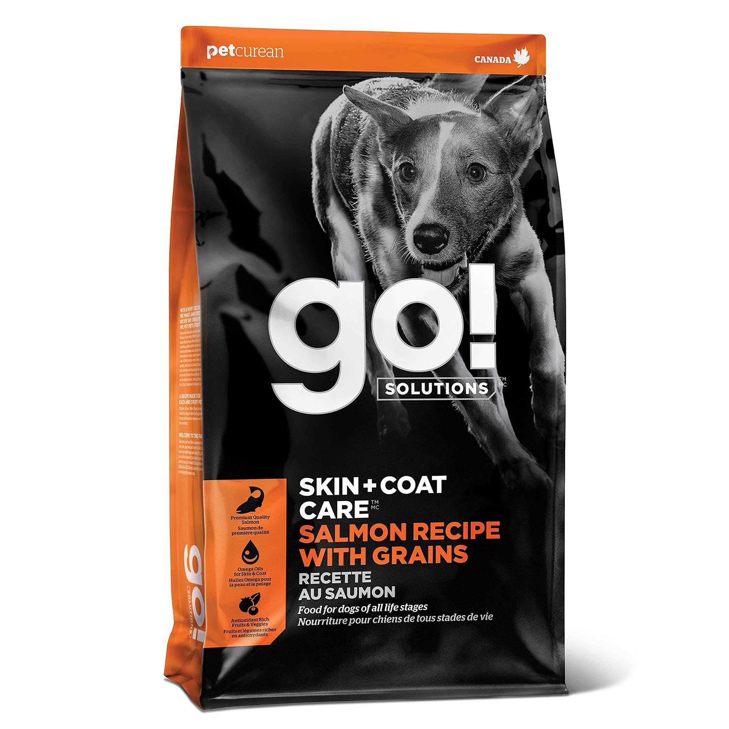 Go! Solutions Skin + Coat Care Salmon Recipe Dry Dog Food - Healthber