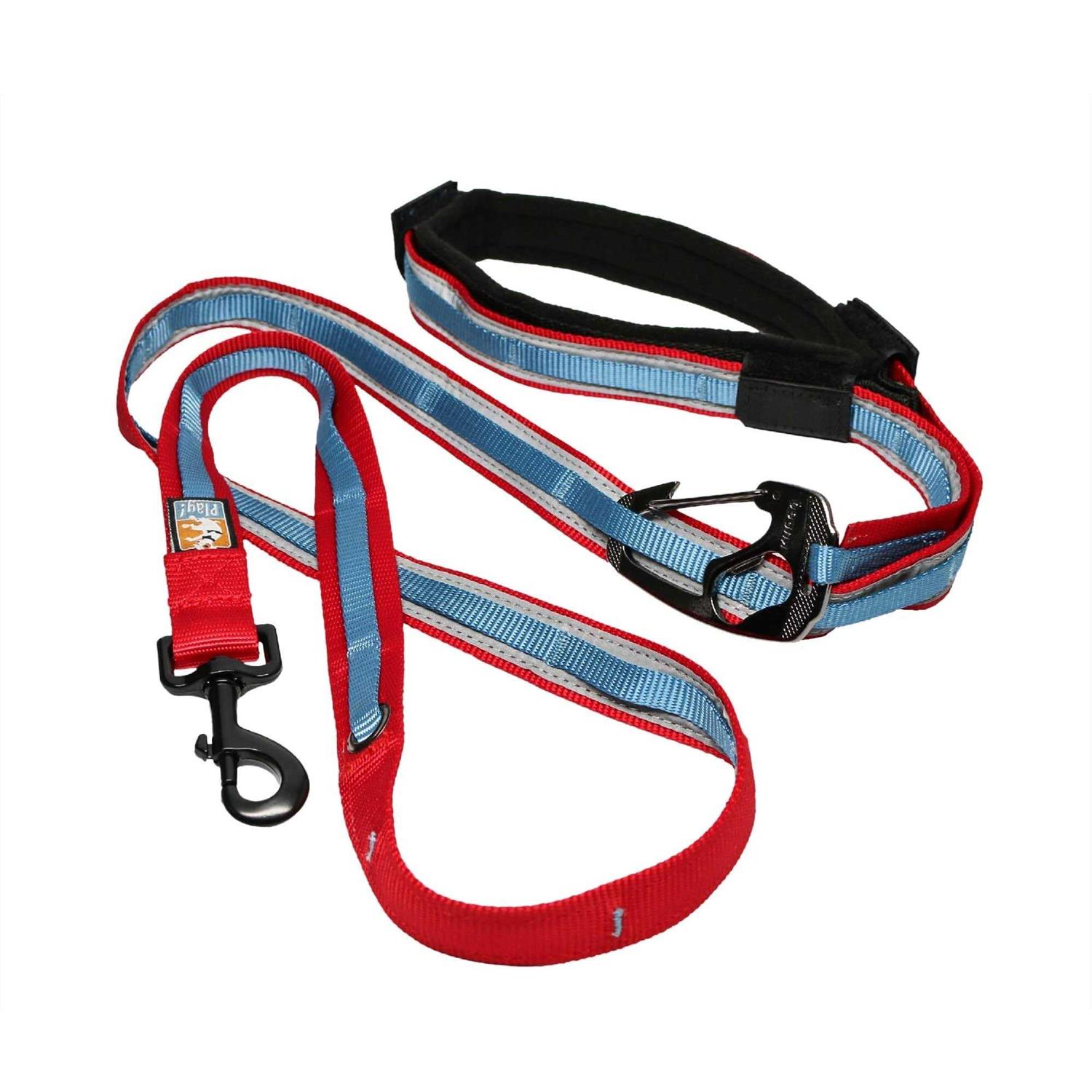 Kurgo Quantum Dog Leash - Healthber