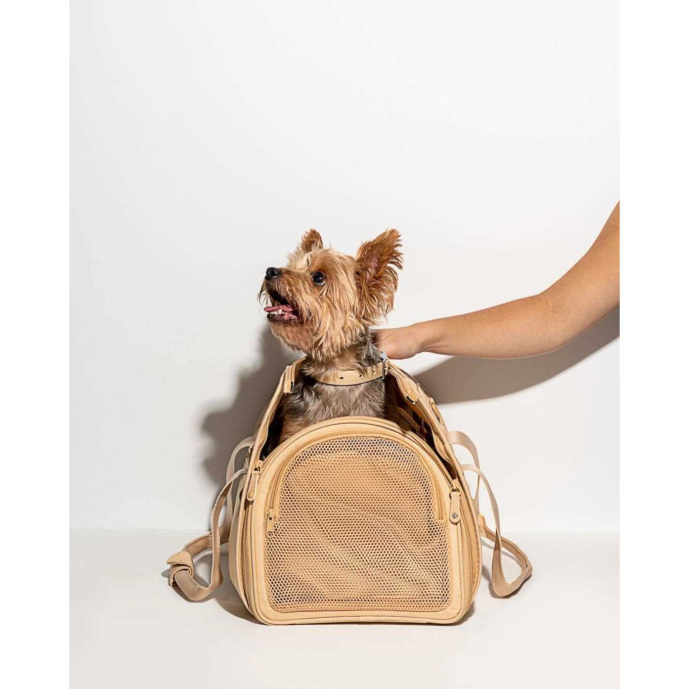 Wild One Travel Carrier - Healthber
