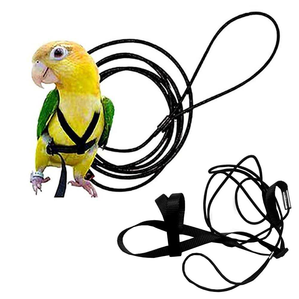 Anelekor Adjustable Birds Harness and Leash Parrot Harness Leash Training Supplies Pet Anti-bite Outdoor Flying Rope for Conures Budgerigar Lovebird - Healthber