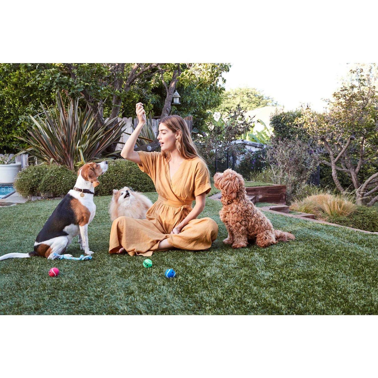 Full Moon Dog Treats Chicken Recipe - Healthber