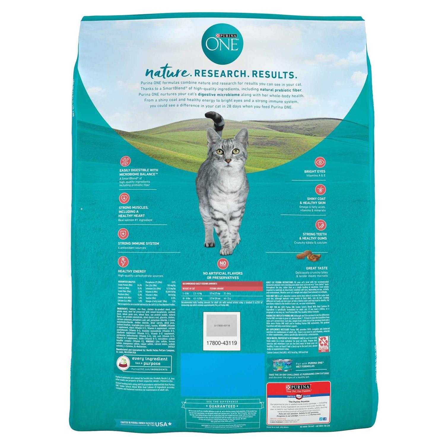 Purina ONE Smartblend Dry Cat Food - Healthber