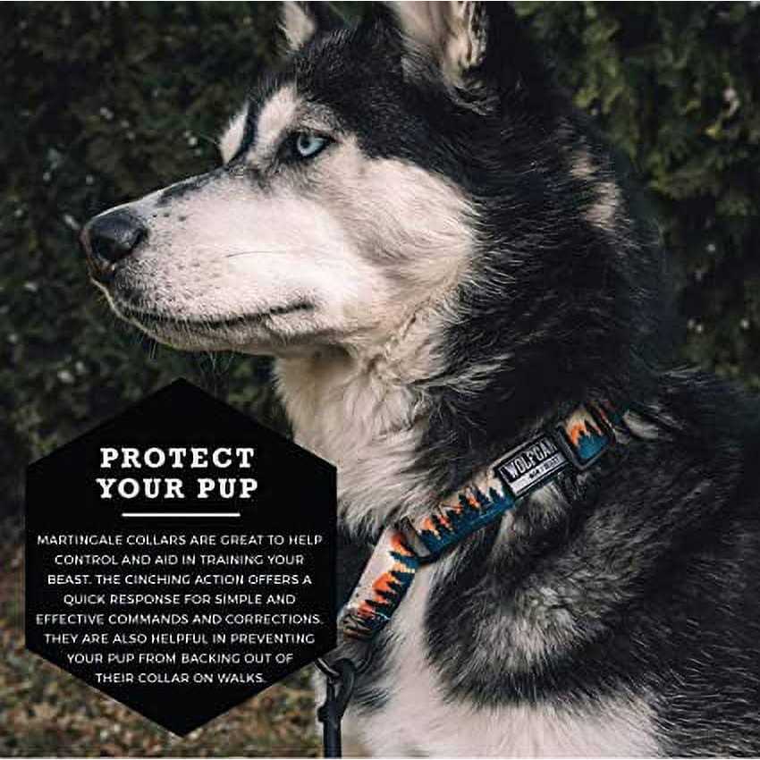 Wolfgang Martingale Dog Collar - Healthber